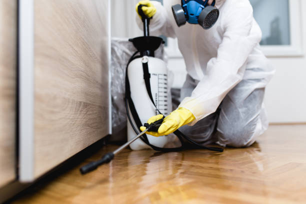 Professional Pest Control in Frazier Park, CA