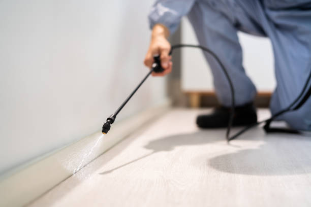 Best Pest Prevention Services  in Frazier Park, CA