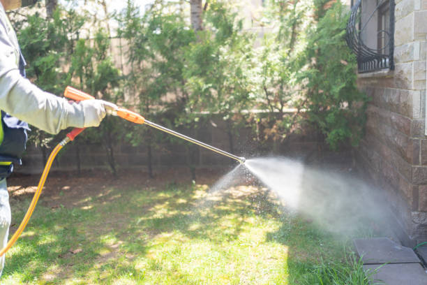 Best Pest Control Treatment  in Frazier Park, CA