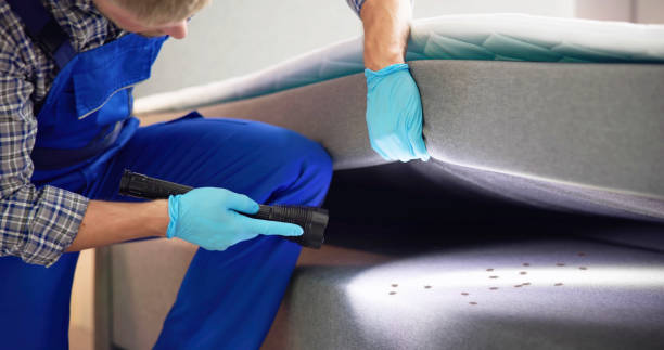 Best Residential Pest Control  in Frazier Park, CA